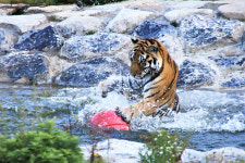[문화&관광 경북을 만나다] 봉화