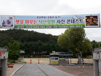 칠곡 낙산초, 낙산교육가족 대상 학교정원 사진콘테스트 성료