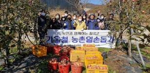 칠곡군, 기산면 봉산리 농촌일손돕기 구슬땀