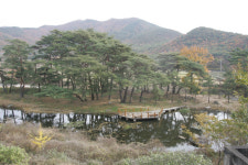 [우리동네 이야기] 9. 포항 기북면 덕동마을