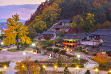 [문화&관광 경북을 만나다] 영천