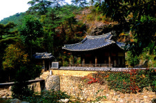 새로운 소비 트렌트 반영 마케팅 전략으로 MZ세대 공략