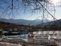 [우리동네 이야기] 18. 청도군 각북면 오리마을