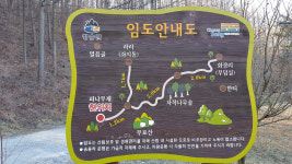 [힐링&트레킹] 21. 청송 자작나무 명품숲