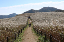 경주국립공원사무소, 토함산 암곡~무장봉 구간 탐방로 예약제 시행