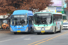 대구 저상버스 도입률 45%…6대 광역시 중 최고