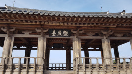 [힐링&트레킹] 25. 장육사와 메타세콰이어숲 그리고 관어대