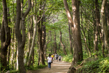 [우리동네 이야기] 26. 울릉도 나리마을