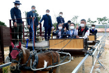 영천시, 운주산 말문화체험관 개장…포니레일 마차 등 시설 마련