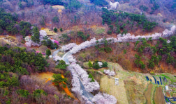 [우리동네 이야기] 30. 성주군 성산리 차동골마을
