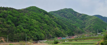 [우리동네 이야기] 31. 영천시 청통면 신원리