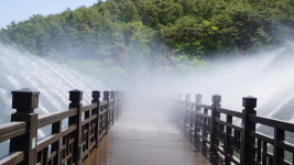 [힐링&트레킹] 29. 안동호반나들이길과 비밀의 숲