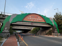 [우리동네 이야기 속으로] 35. 대구 도동측백문화마을