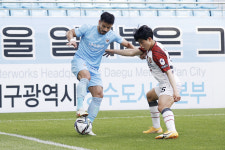 10경기 연속 무패…대구, 지는법 잊었다
