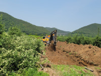 [포토] 화상병 방역 고삐