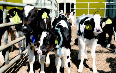 [젊은 농촌이 좋다 청년 농부가 좋다] 3. 들판이 꿈을 키우는 무대로