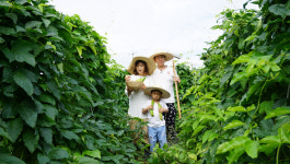 [젊은 농촌이 좋다 청년 농부가 좋다] 4. 좋은 먹거리 소비자가 먼저 안다