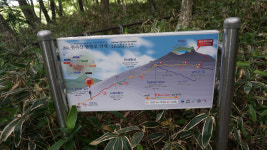 [힐링 & 트레킹] 32. 한라산 영실기암과 어리목