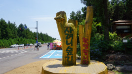 [힐링&트레킹] 33. 제주올레 16코스와 사려니숲길