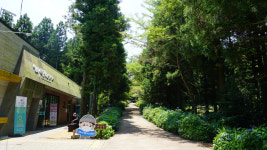 [힐링&트레킹] 33. 제주올레 16코스와 사려니숲길