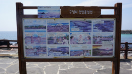 [힐링&트레킹] 33. 제주올레 16코스와 사려니숲길