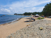 피서지 상인들 코로나·폭염에 너무 힘들어요