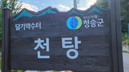 [경북의 맛] 청송 달기약수 한방백숙