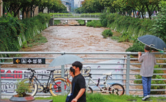 [포토] 침수된 범어천 산책길과 거친 물살의 신천