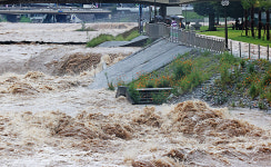 [포토] 침수된 범어천 산책길과 거친 물살의 신천