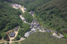 천년고찰 의성 고운사, 15년간 불법 수목장 조성·운영…의성군, 경찰에 고발