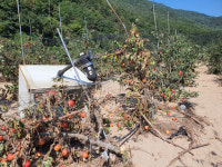 포항 수해 복구현장 가보니…농가 10곳 중 6곳 복구 먹먹