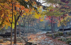 대구 달성군시설관리공단, 추석 연휴 비슬산 자연휴양림 정상 운영
