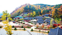 영천시 추석연휴 안전한 지역 관광시설 둘러봐요