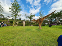 군위 삼국유사테마파크 달달 피크닉 페스티벌 대성황