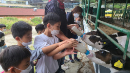군위 부계초, 구미 옥성면 풀마실목장서 체험 학습