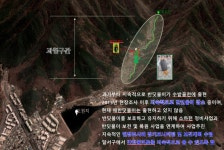대구 도심 수밭골천서 늦반딧불이 대거 발견…달서구청, 보호 나서