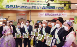 영천 샤인머스켓 롯데마트 전 매장 특판행사 개최