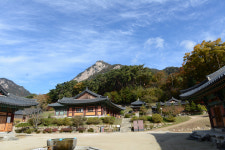 [금석문으로 만나는 경북의 역사 문화] 16. 문경 희양산 봉암사의 금석문