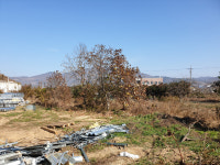 [우리동네 이야기 속으로] 58. 청도군 화양읍 진라리