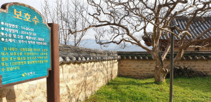 [우리동네 이야기 속으로] 61. 상주 달래마을