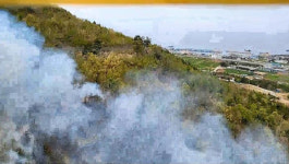 포항 호미곶 대보리서 산불 발생…진화 중