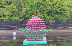 [포토] 대구 동대사 형형색색 부처님 오신날 봉축등