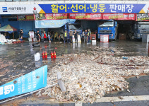 농수산물도매시장 불법 전대해 임대료 수익…대구종합수산 대표 항소 기각