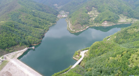 봉화군 물야저수지, 3색 힐링의 옷을 입다