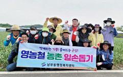 영천시공원관리사업소·남부동, 작산동 마늘밭 일손돕기 봉사 구슬땀