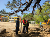 봉화군, 물야초등학교 명상숲 복원 박차