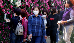 [포토] 5월 장미의 유혹…대구 이곡 장미공원