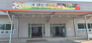 개진감자 영농조합법인, 직판장 개장…본격 판매 개시