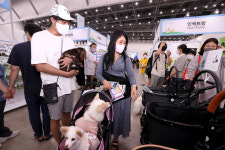 [포토] 위풍댕댕…제19회 대구 펫쇼 현장