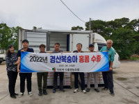 경산 황도 복숭아 올해 홍콩 첫 수출…현지 백화점 등서 판매
